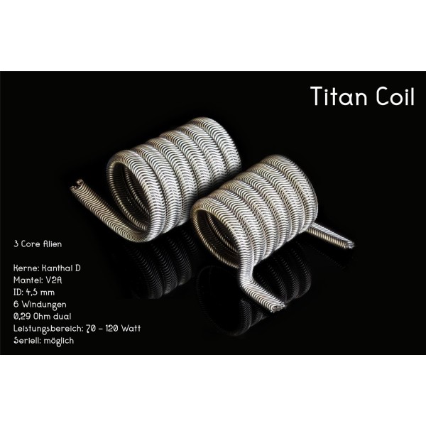 TITAN COIL 0,29Ohm dual